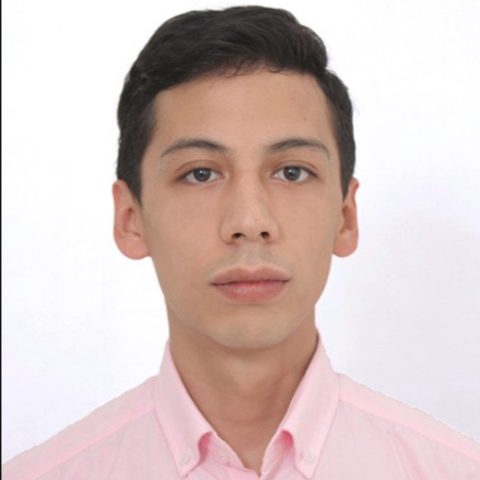 Nayib Uriel Luis Angel Villanueva Balderas